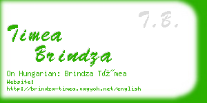 timea brindza business card